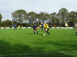 Duiveland 3 - S.K.N.W.K. 3 (competitie) seizoen 2024-2025 (6/54)